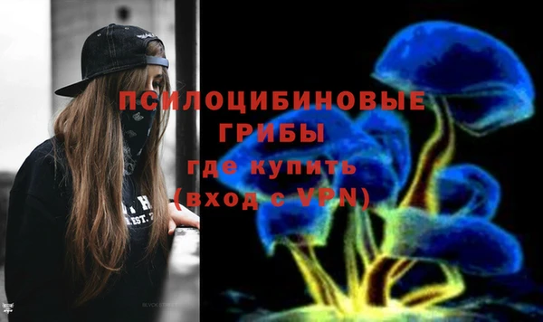 дурь Арсеньев