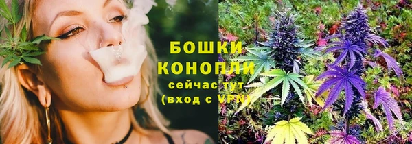 прущие крисы Аркадак