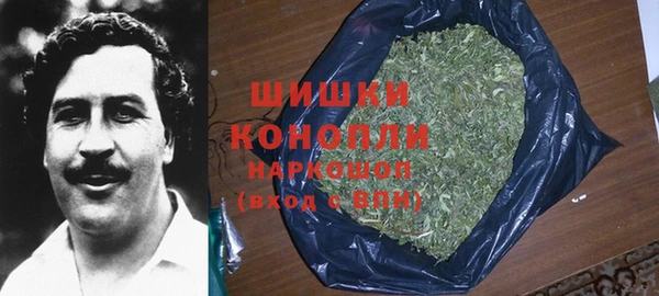 дурь Арсеньев
